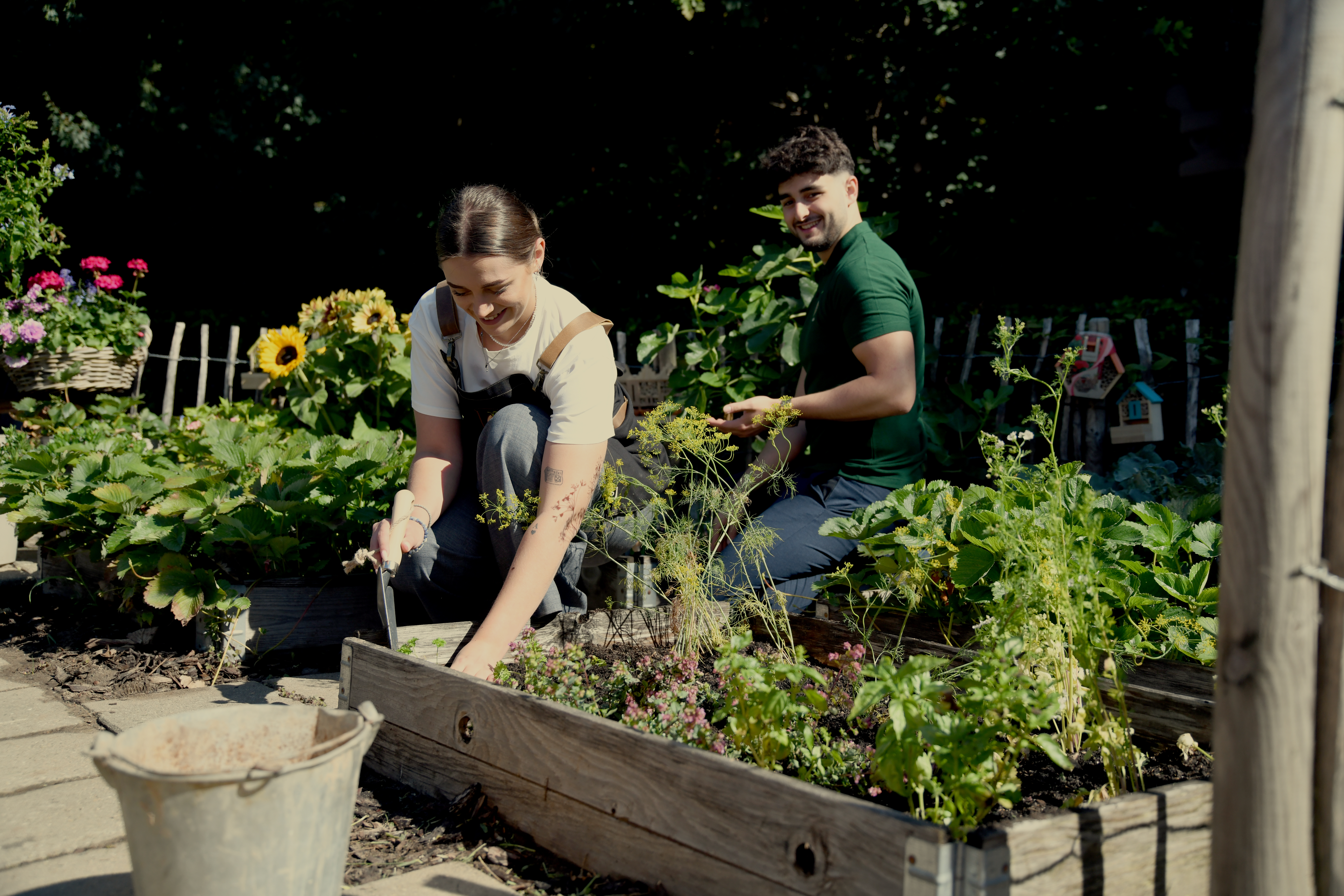 Moestuinieren op een balkon of vensterbank - Klein beginnen, groots genieten